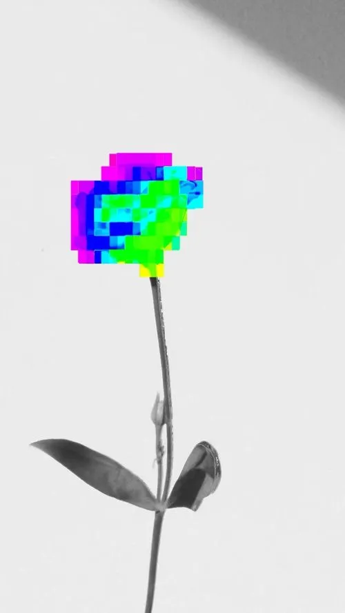 Service Image